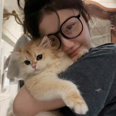 键盘猫